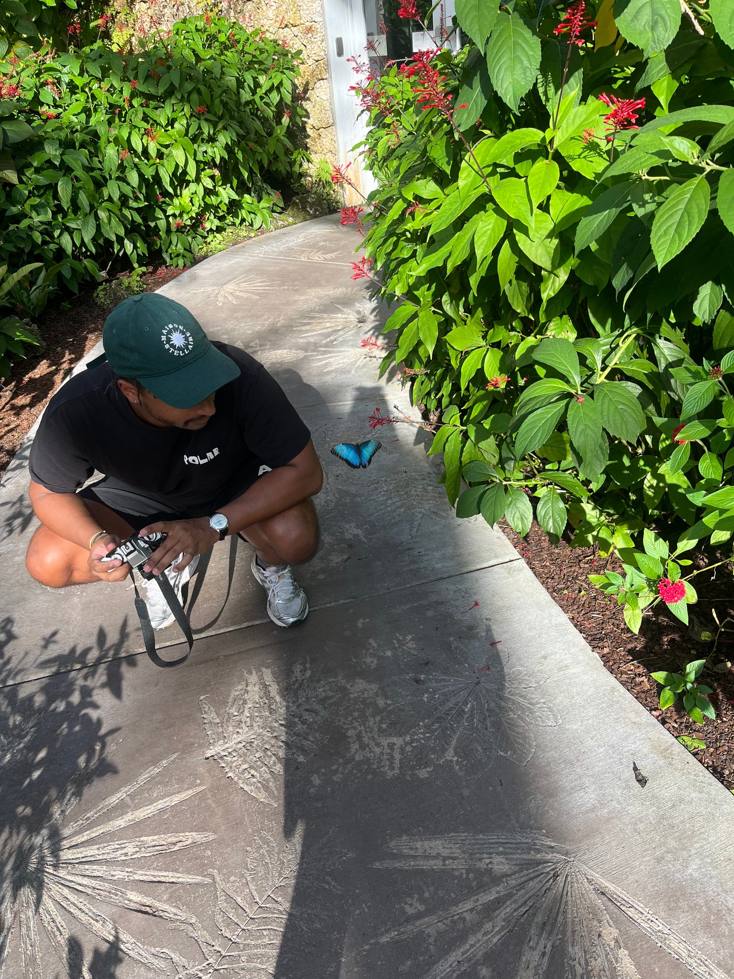 La Casquette Maison Stellaire